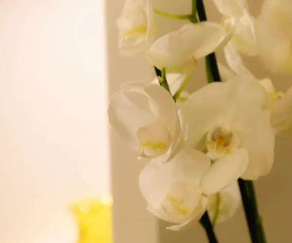 Apartamento Ellie Luxury
